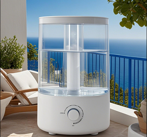 5L Water Tank with Dual Mist Outlets, Ins Style Design Cold Mist Humidifying 