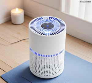 SM6008 Air Purifier for Smokers: Removes Smoke & Odors, HEPA H13 + UVC