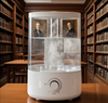 Energy-Saving and Environmentally Friendly 5L Model, Ins Style High-Value Dual Mist Outlet Humidifier​