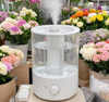 Energy-Saving and Environmentally Friendly 5L Model, Ins Style High-Value Dual Mist Outlet Humidifier​
