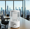 5L Large Capacity Cold Mist Device, Ins Style Knob-Controlled Dual Mist Outlets​