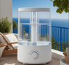 High-Value 5L Water Tank, Ins Style Dual Mist Outlet Energy-Saving Humidifier​