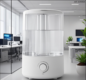 Maifan Stone Purification 5L Model, Ins Style Dual Mist Outlet Cold Mist Humidifying ​