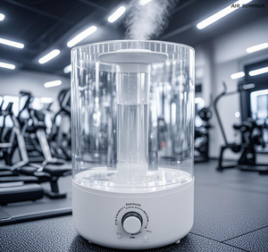 360° Dual Mist Outlet 5L Capacity, Ins Style High-Value Ultrasonic Humidifier​